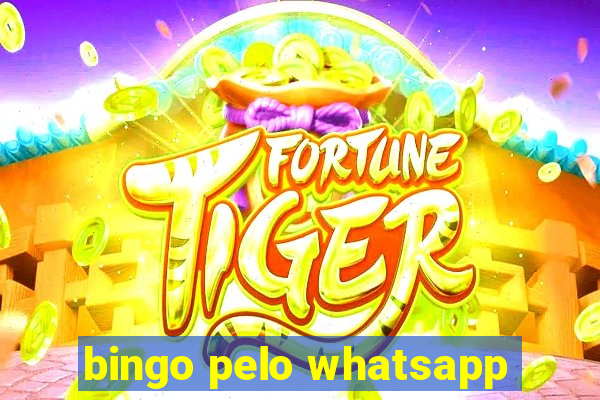 bingo pelo whatsapp